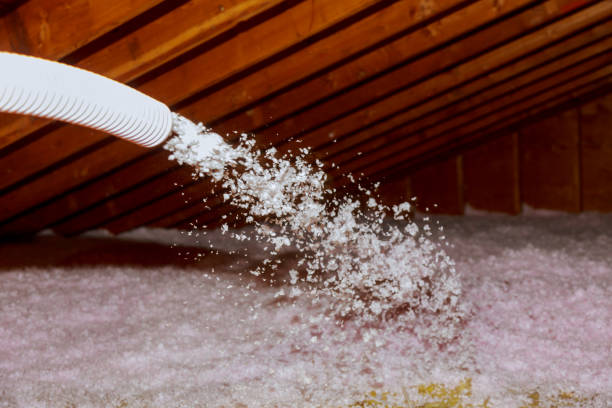 Best Insulation Materials and Products in Crowley Lake, CA