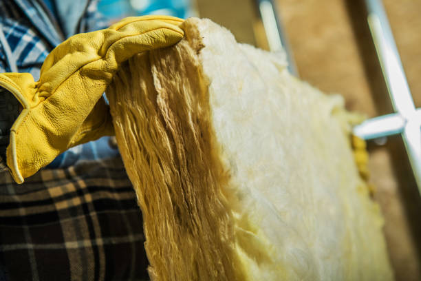 Best Commercial Insulation in Crowley Lake, CA