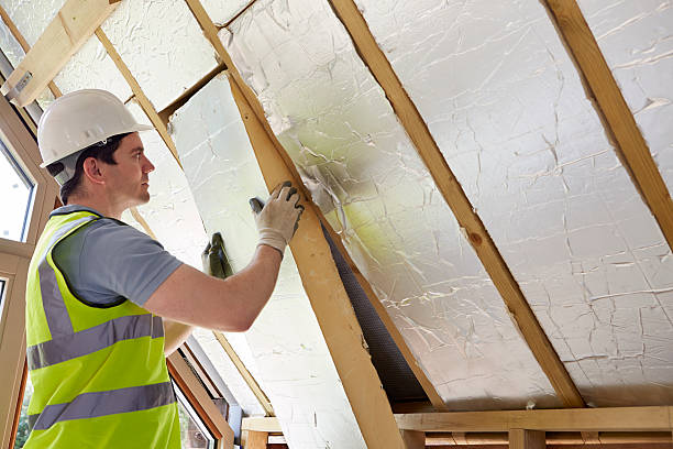 Best Insulation Maintenance and Repair in Crowley Lake, CA